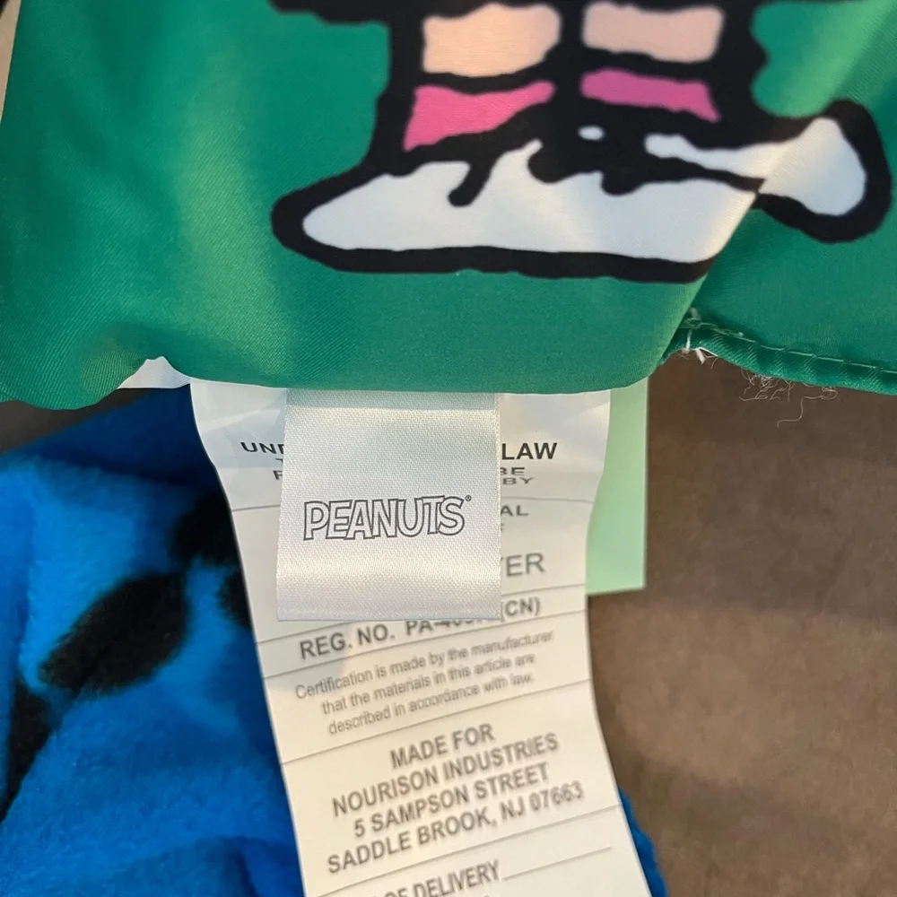 Peanuts Snoopy Best Friends Blue Blanket with Pillow